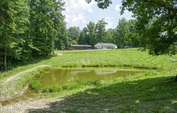 176 Knepp Rd, Deer Lodge, TN 37726