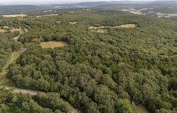 Malico Mountain Road, West Fork, AR 72774