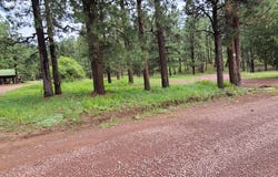 Cr N2276, Nutrioso, AZ 85932