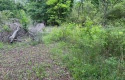 138 SUMMIT TOP RD, BOLES, AR 72926