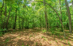 1 Mcalhany Road, Branchville, SC 29432