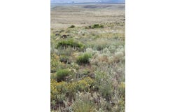 1009 Taos Tr, Westcliffe, CO 81252