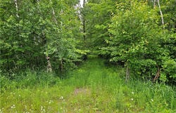 20 Acres 22 1/4 Street, Chetek, WI 54728