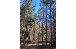 79 Madison CR 410, Fredericktown, MO 63645