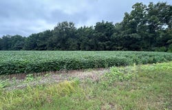 00 Bass Drive, Santee, SC 29142