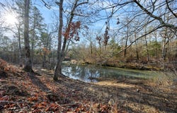 16 Blue Bunting Road, Smithville, OK 74957