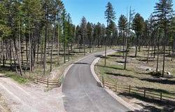 269 Layton Road, Whitefish, MT 59937