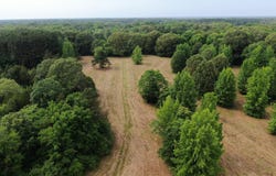 656 Sunset Drive, Coldwater, MS 38618