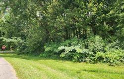 Lot 6 Golfview Drive, Arab, AL 35016