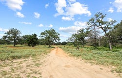 Tract 14 The Ranches at Woodland Trail, Caldwell, TX 77836