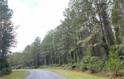 Lot 67 Waverly Lane, White Oak, GA 31568