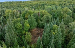 Wood Yard Crossing lot: 3, Pittsburg, NH 03592