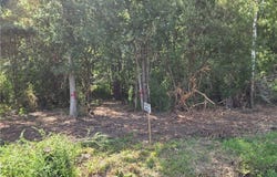 0 Carmen Road, Somerset, NY 14012