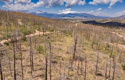 Mulligan lot: 459, Fort Garland, CO 81133