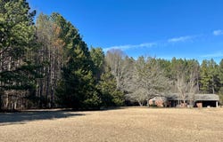 10285 Brooksville Road, Louisville, MS 39339