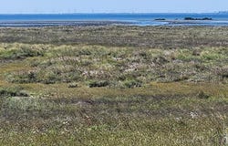 Tract 25 lot: 41, South Padre Island, TX 78597