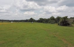 Tbd FM 535, Rosanky, TX 78953
