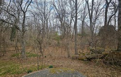 397 CHARLES HALL DRIVE, MILLERSVILLE, MD 21108