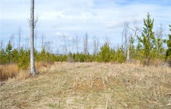 Off Of NC Highway 700, Pelham, NC 27311