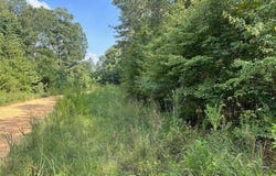 362 Byrdway Drive, Lowndesboro, AL 36752