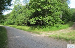 Melmark Acres Trail, Stuart, VA 24171