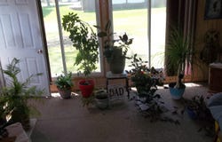 607 E Filmore Street, Afton, IA 50830