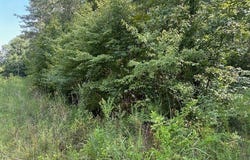 362 Byrdway Drive, Lowndesboro, AL 36752