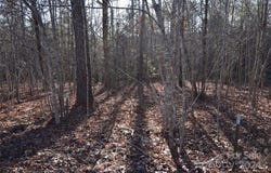 Tayberry Drive lot: 75, Nebo, NC 28761