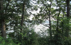 12161 Bair Lake Street, Jones, MI 49061