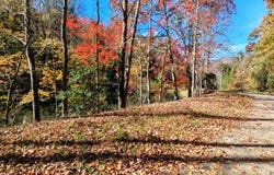 Arnold Hill Rd, Sylva, NC 28779
