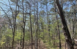 65 Reata Way, Hot Springs Village, AR 71909