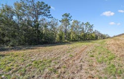 14420 BAILEY HILL ROAD, BROOKSVILLE, FL 34614