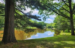 3251 Timberlane, Evart, MI 49631