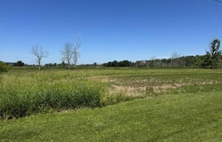 QUIGLEY Road, WINNECONNE, WI 54986
