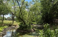 4500 CR 389, Camp Wood, TX 78833