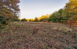 Tbd Highway 59 N, Bowie, TX 76230