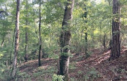 FIRETOWER ROAD, CUSSETA, GA 31805