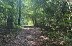 0 Lotta River Road, Sipsey, AL 35584
