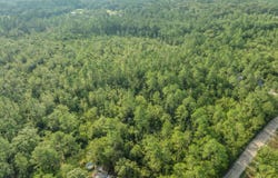 0 Rattler, Hortense, GA 31543