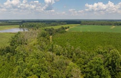 0 GA 133 North, Doerun, GA 31744