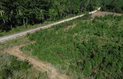 Bethel Forest Road, Tract 3, Orangeburg, SC 29133