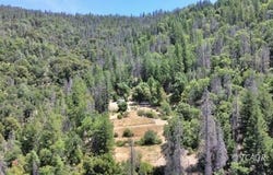 5300 Cabin Gulch, Douglas City, CA 96024