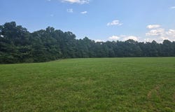 Al Martin Rd, Robbins, TN 37852