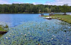 202 Deerfield Road, Lake Ariel, PA 18436