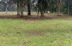 LT 30 NW STAR LAKE SYLVI DR, Lake City, FL 32055