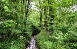27015 50th ST, Bangor, MI 49013