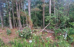 Elgin Rd, CAMDEN, TN 38320