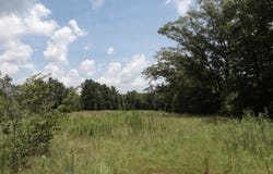 839 Co Rd 109, Montevallo, AL 35115