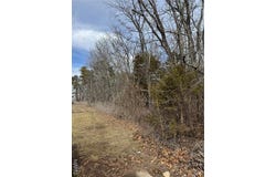 0 Mallard Road Tract B, Licking, MO 65542