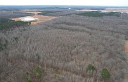 Williams Road, Bald Knob, AR 72010